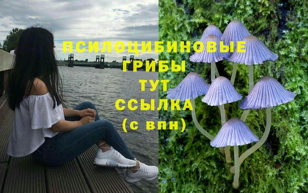 дживик Алексин