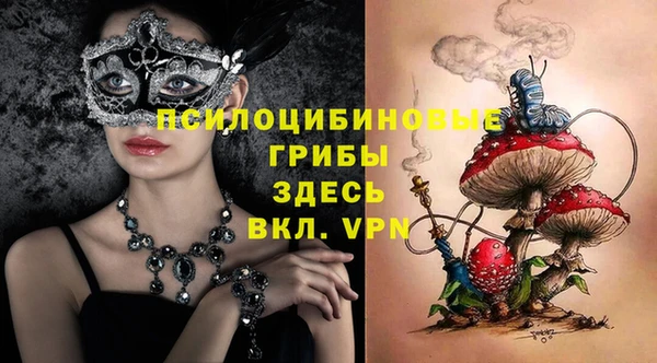 дживик Алексин